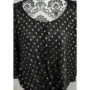 Beautiful black sheer, long-sleeved blouse